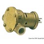 Pompe NAUCO modèle FPR009 - Nauco Pompe de cale Moteur 8033137094323 16.050.00
