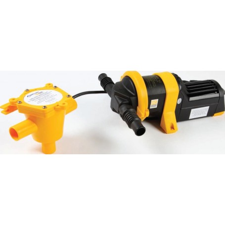 POMPE GREY IC WHALE - Whale eaux grises / eaux noires  55250152