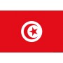 Pavillon  Tunisie Drapeaux et pavillons 8033137122477 35.438.01