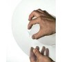 DISPOSITIF ANTI-RAT150291