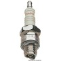 Bougies « Champion »  - Champion Champion 37551000029 47.557.00