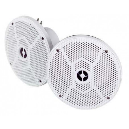 Haut-parleurs 80 W 