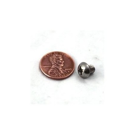 SCREW SCREW
