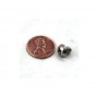 SCREW SCREW