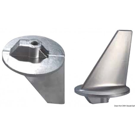 Queues de carpe Queues de carpe